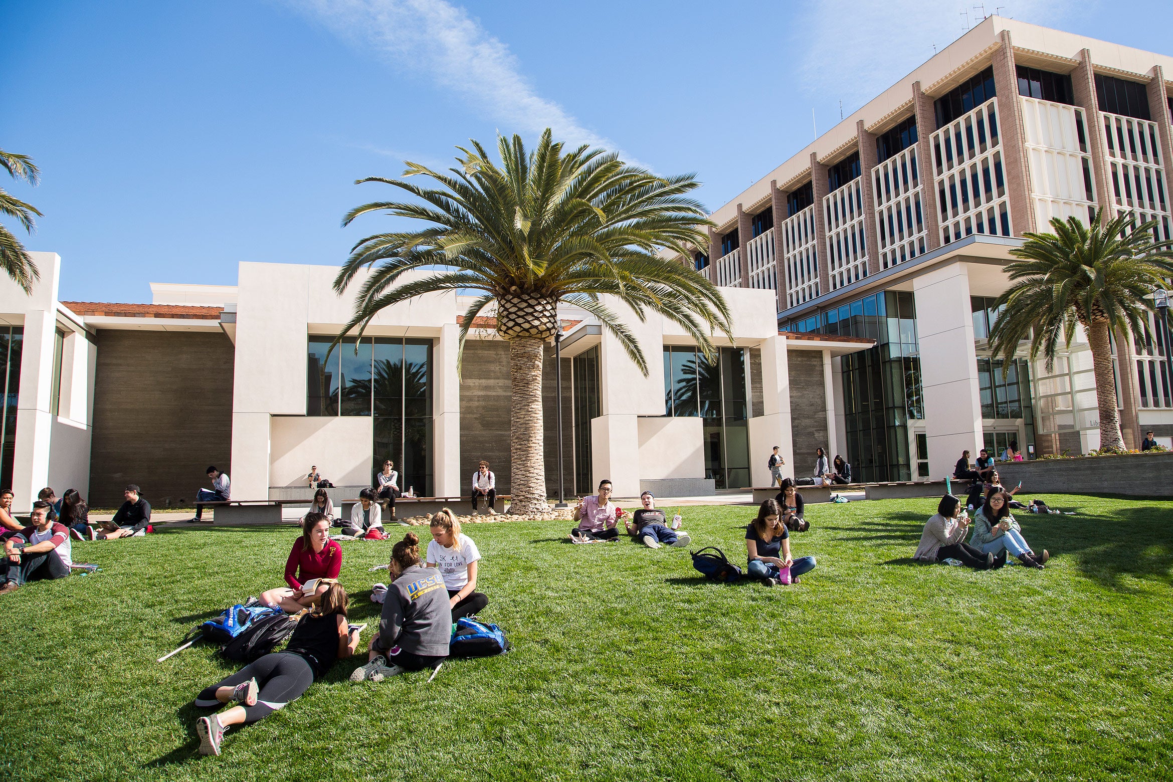 Summer Sessions library lawn UC SantaBarbara