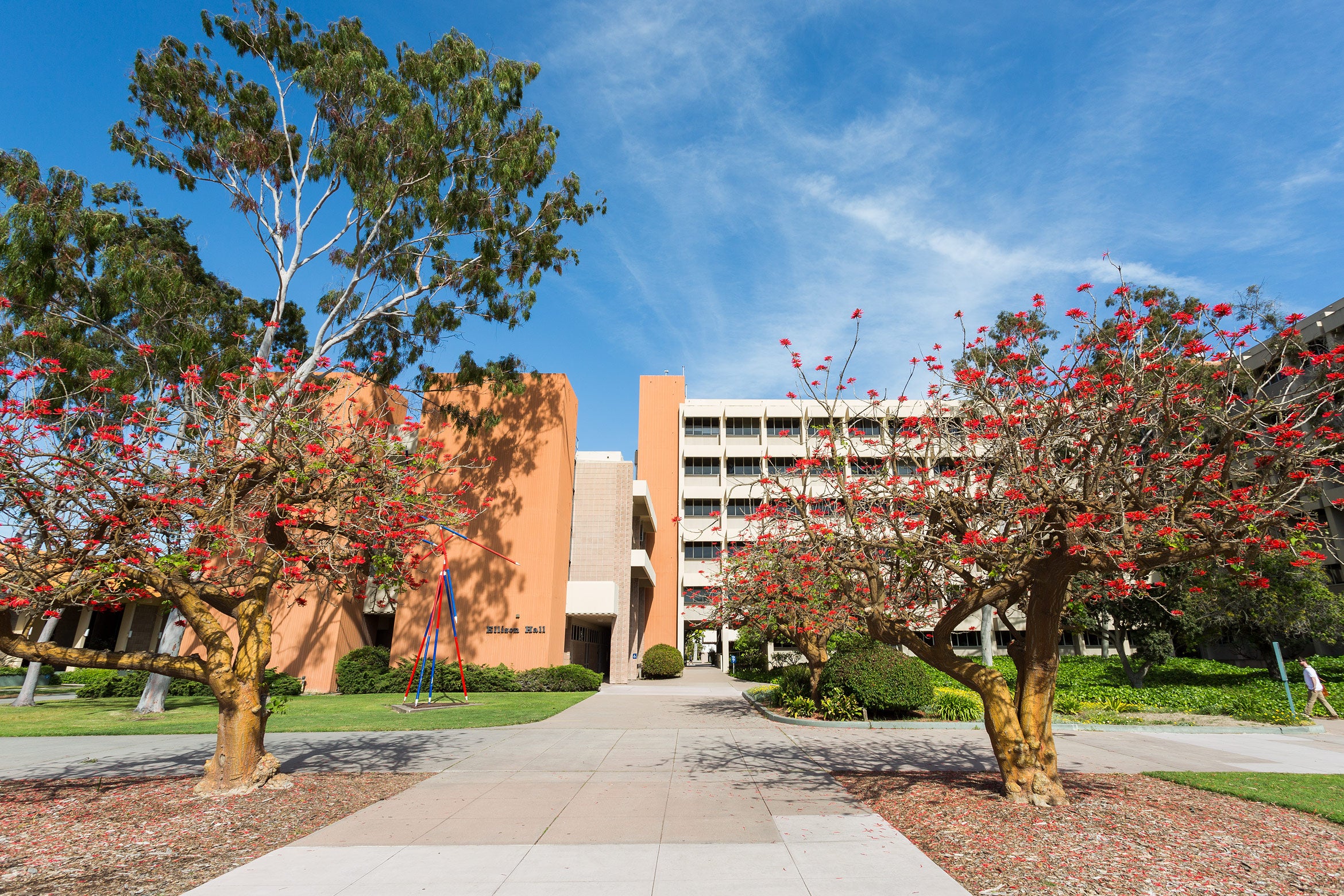 UC Santa Barbara 1995 AAU